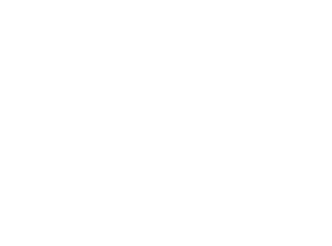 GFC Icon weiß
