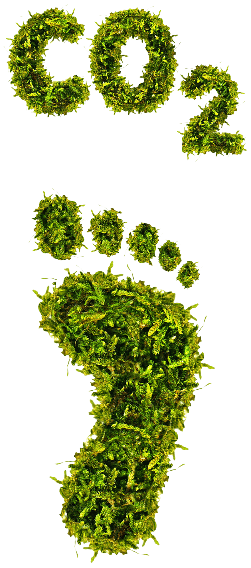 ökologischer Fussabdruck